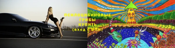 ПСИЛОЦИБИНОВЫЕ ГРИБЫ Богородск