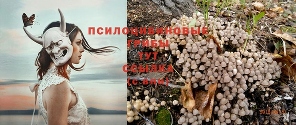 бутик Богданович