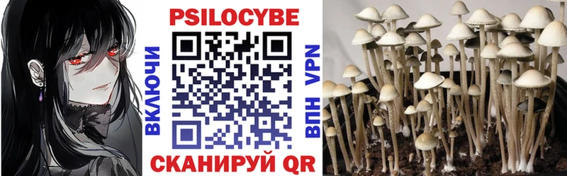 даркнет сайт  Очёр  Галлюциногенные грибы Magic Shrooms 